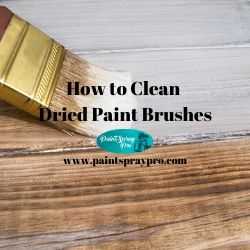 how to clean dried paint brushes